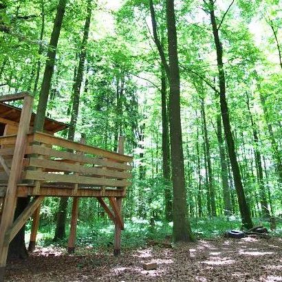 wald-ulm-kindergarten1