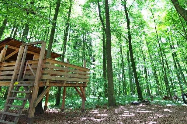 wald-ulm-kindergarten1