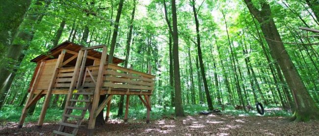 wald-ulm-kindergarten1