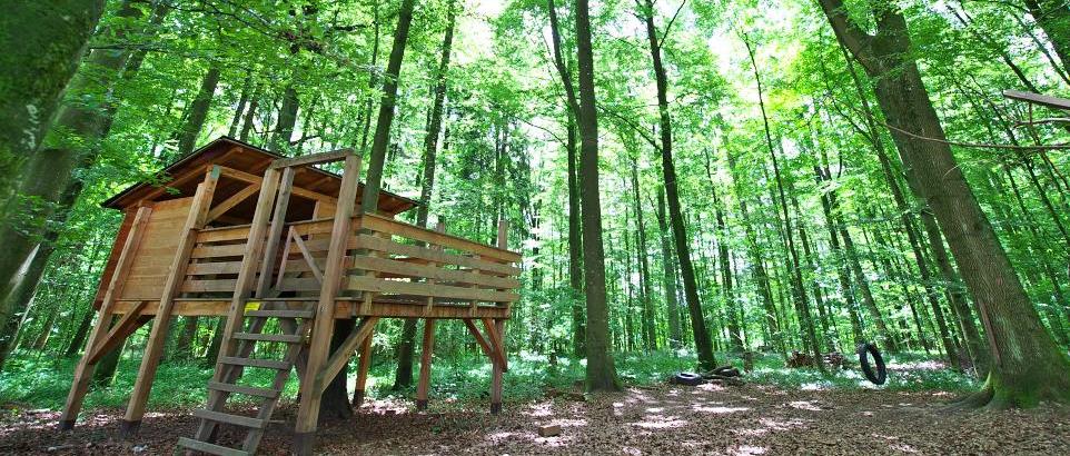 wald-ulm-kindergarten1